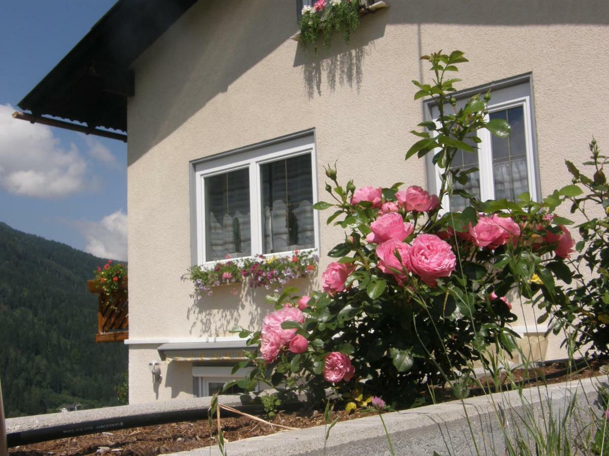 Ferienwohnung Brennseeblick Feld am See Luaran gambar